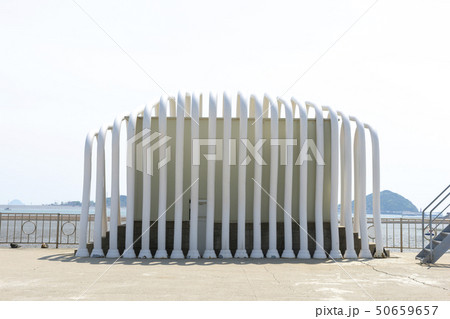屋外 室外 自然 50659657