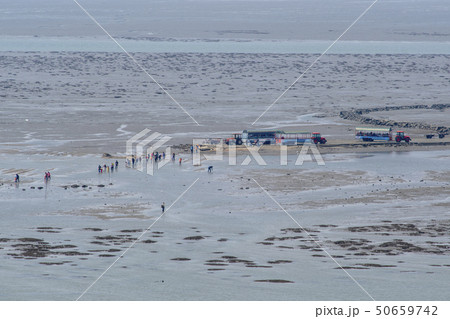 屋外 室外 自然 50659742