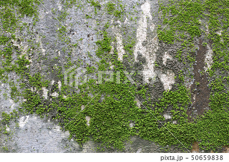 background texture background texture 50659838