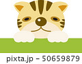 変なトラ 50659879