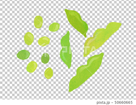 水彩毛豆紋理拼貼畫 水彩毛豆紋理拼貼畫 50660665