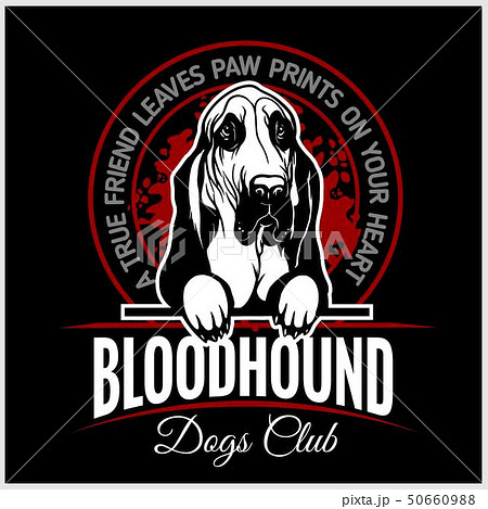 Bloodhound Vector Illustration For T Shirt のイラスト素材