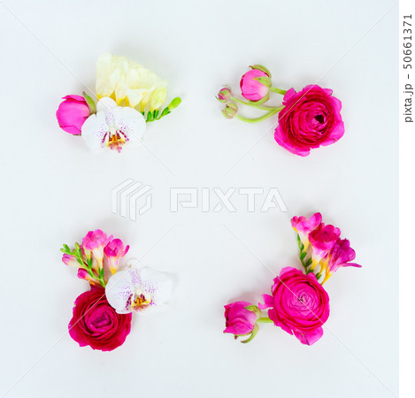Flowers flat lay composition Flowers flat lay composition 50661371
