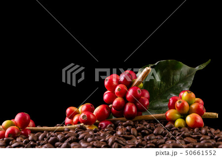 Coffee beans. On a wooden background rotation 50661552
