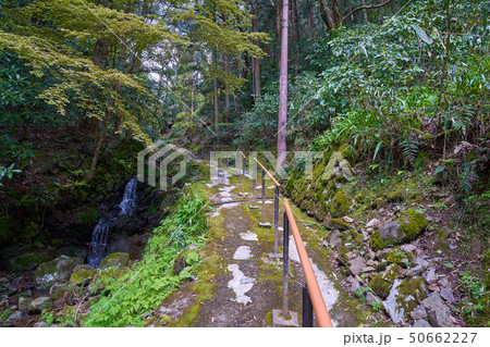 島根(山陰の小京都)の津和野 乙女峠へ続くふるさとの坂道三十選 50662227