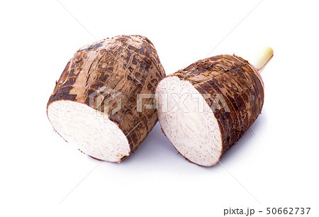 taro isolated on white background 50662737