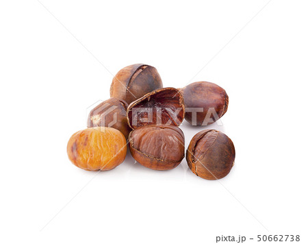 chestnut isolated on white background chestnut isolated on white background 50662738