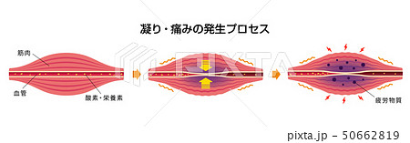 shikori kori kogori Meaning In Japanese - Mazii