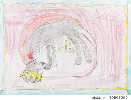 top view of sleeping dog with crown on carpet top view of sleeping dog with crown on carpet 50663069