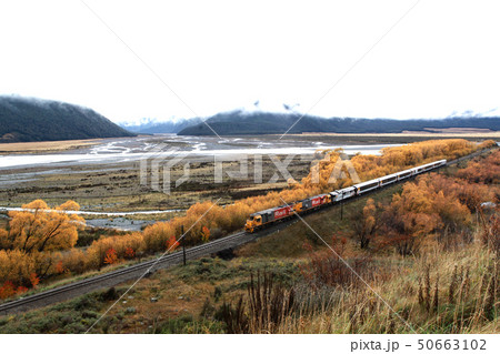 tranalpine train 50663102