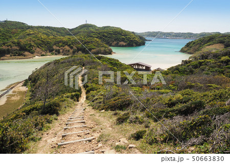 美しい無人島のビーチ(壱岐：辰の島海水浴場) 50663830