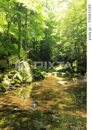 新緑の耶馬溪 50664389