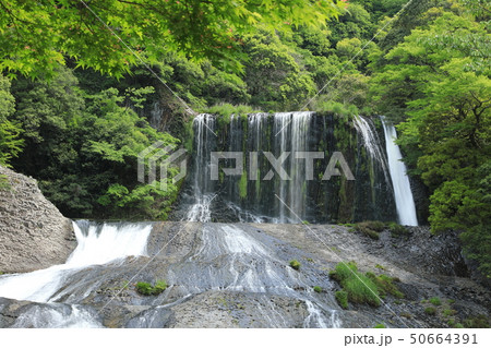 新緑の竜門の滝 新緑の竜門の滝 50664391
