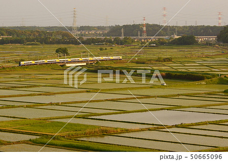 田植え始まる総武線沿線　夕陽を浴び銚子を目指す特急しおさい 50665096