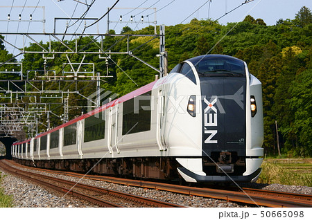 トンネルを抜ける特急成田エクスプレス トンネルを抜ける特急成田エクスプレス 50665098