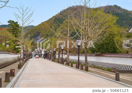 島根(山陰の小京都)の津和野 殿町通りの北側方面を見る 50665125