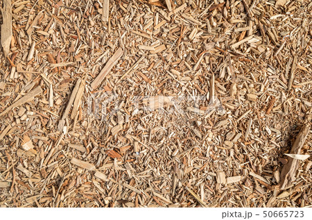wooden and lumber sawdust 50665723