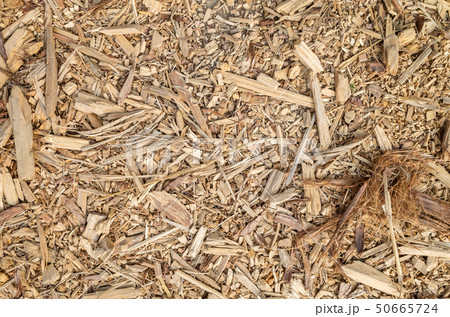 wooden and lumber sawdust 50665724
