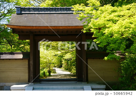 奈良・圓成寺・新緑の門１（無人）－５ 50665942