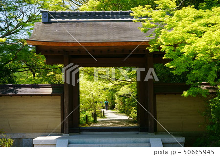 奈良・圓成寺・新緑の門1(参拝者)-1 奈良・圓成寺・新緑の門1(参拝者)-1 50665945