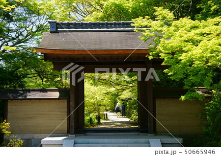 奈良・圓成寺・新緑の門１（参拝者）－２ 50665946