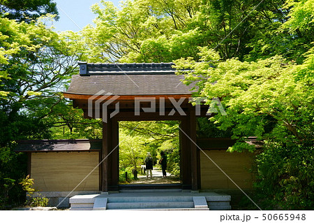 奈良・圓成寺・新緑の門１（参拝者）－４ 50665948