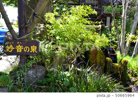 阿蘇　一の宮　水基巡りの町並み 50665964