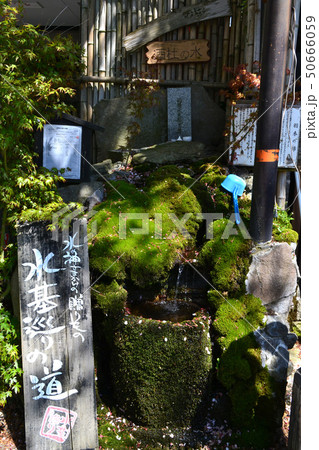 阿蘇 一の宮 水基巡りの町並み 阿蘇 一の宮 水基巡りの町並み 50666059