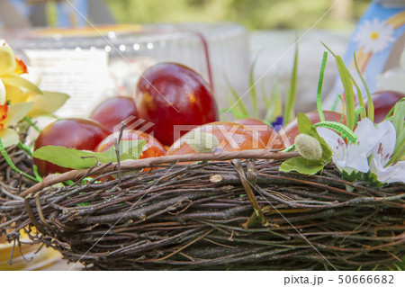 the colored Easter eggs in a basket 50666682