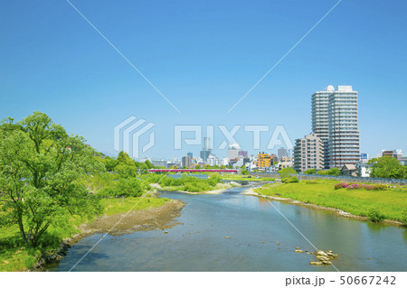 広瀬川 仙台市全景 新緑 広瀬川 仙台市全景 新緑 50667242