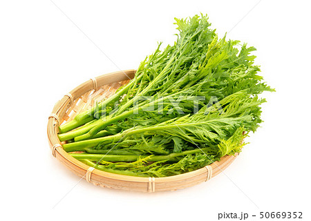 わさび菜 50669352