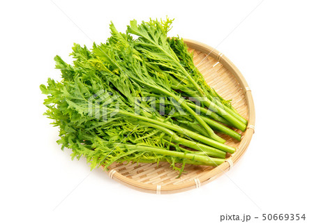 わさび菜 わさび菜 50669354