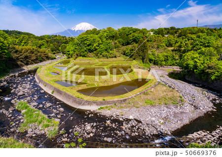 (静岡県)竹之下の棚田と富士山 (静岡県)竹之下の棚田と富士山 50669376