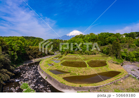 (静岡県)竹之下の棚田と富士山 (静岡県)竹之下の棚田と富士山 50669380
