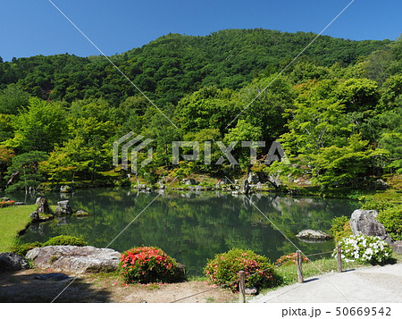 世界遺産　天龍寺　新緑の曹源池庭園 50669542