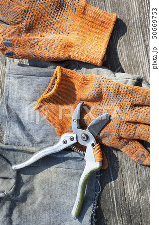 Pruning shears and protective gloves Pruning shears and protective gloves 50669753