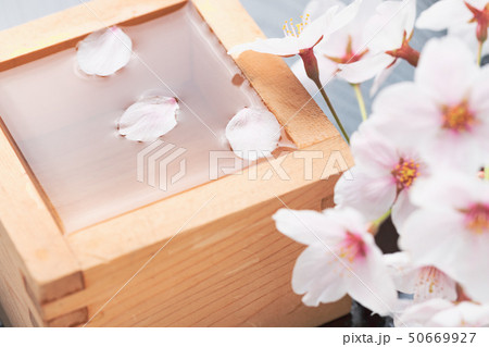 升酒と桜の花びら 50669927