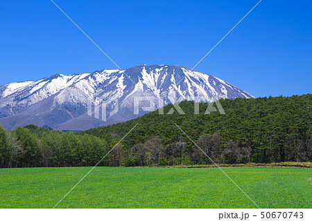 草原 小岩井農場 草原 小岩井農場 50670743