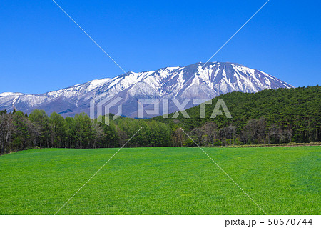 草原 小岩井農場 草原 小岩井農場 50670744