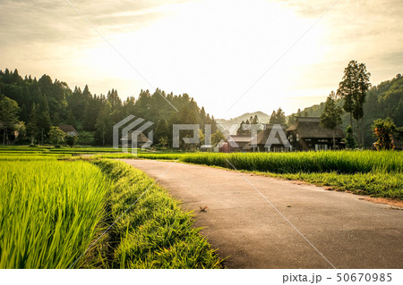 夏の農村風景 （荻ノ島環状集落の夕暮れ） 50670985