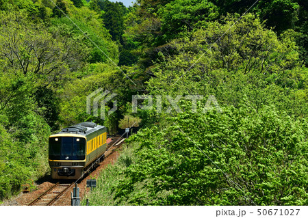キヤ141　関西本線 50671027