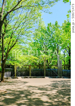 蚕糸の森公園 蚕糸の森公園 50671473