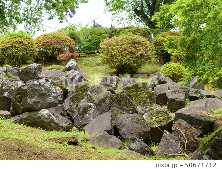 小田原城本丸からすべり落ちた石垣(神奈川県小田原市) 小田原城本丸からすべり落ちた石垣(神奈川県小田原市) 50671712