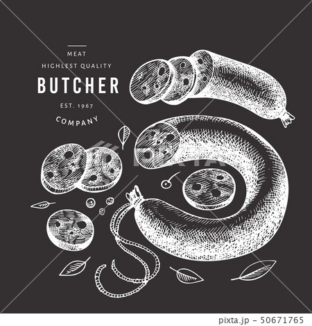 Vintage vector meat illustration on chalk board. Vintage vector meat illustration on chalk board. 50671765