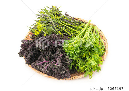 葉物野菜盛合せ 50671974