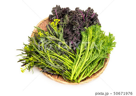 葉物野菜盛合せ 葉物野菜盛合せ 50671976