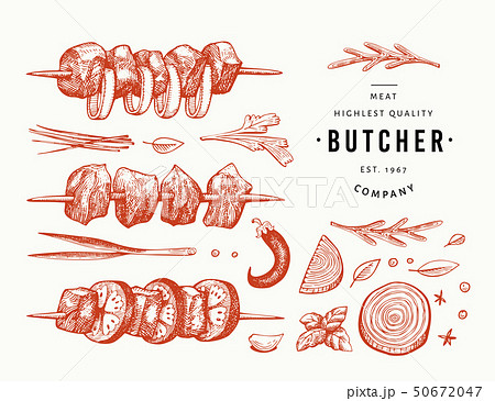 Vintage vector meat illustration. Hand drawn shish 50672047
