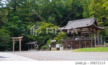 大国主神社 紀の川市 貴志川町 大国主神社 紀の川市 貴志川町 50672114