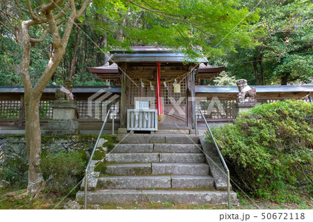 大国主神社 拝殿 紀の川市 貴志川町 大国主神社 拝殿 紀の川市 貴志川町 50672118