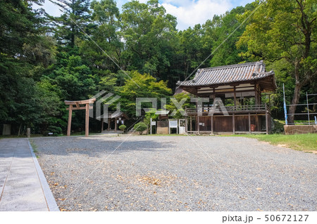 大国主神社 紀の川市 貴志川町 50672127